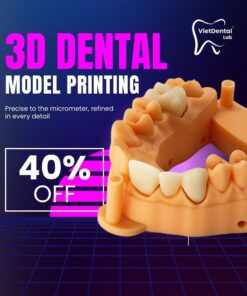 3D dental model printing service for global dentists using STL files