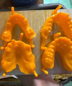 Worldwide shipping for 3D printed dental models from Viet Dental Lab